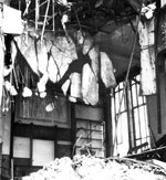 Muzeum Przyrodnicze - zniszczenia wojenne