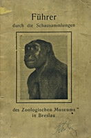 Przewodnik po Muzeum z 1925 r